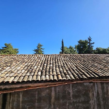 Sofia'S Central Apartment 巴勒莫 外观 照片